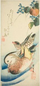 Kaczki mandarynki autorstwa Utagawa Hiroshige