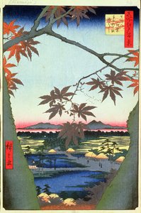 Maple Trees at Mam, Tekona Shrine and Linked Bridge, tablica 94 z serii Stu widoków Edo, Edo Edo, Ansei Era, 1857 (drewnodruk) autorstwa Utagawa Hiroshige