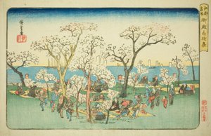Zabawa w Goten Hill (Gotenyama yukyo), z serii „Słynne miejsca w Edo (Koto meisho)” autorstwa Utagawa Hiroshige