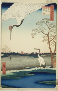 Minowa, Kanasugi, Mikawashima, z serialu autorstwa Utagawa Hiroshige