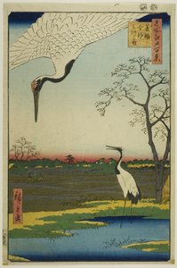 Minowa, Kanasugi, Mikawashima, z serii "Sto słynnych widoków Edo (Meisho Edo hyakkei)". autorstwa Utagawa Hiroshige