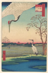  autorstwa Utagawa Hiroshige