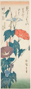 Poranne Chwały autorstwa Utagawa Hiroshige