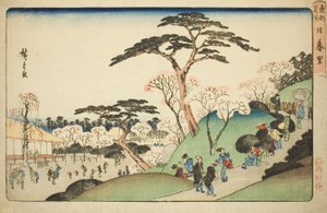 Nippori, z cyklu „Słynne miejsca w stolicy Wschodu (Toto meisho)” autorstwa Utagawa Hiroshige