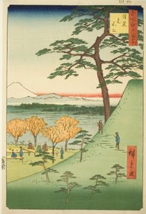 Oryginalny l Fuji, Meguro (Meguro Motofuji), z serii „Ridge for ridge for ridge d red d fan net s widoki Edo (Sto słynnych widoków Edo)” autorstwa Utagawa Hiroshige