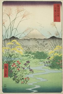 Otaku P Fine Członek P Lovinse (Brzuch spotkania), z serii „Mr. Tyrty x Vie ws Of Mount Fuji (Fuji Kasabi Rokukatsu)” autorstwa Utagawa Hiroshige