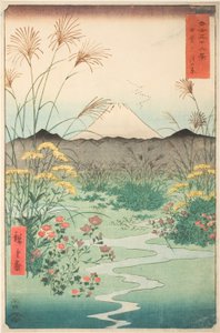 Otaku P Fine Członek P Lovinse (Brzuch spotkania), z serii „Mr. Tyrty x Vie ws Of Mount Fuji (Fuji Kasabi Rokukatsu)” autorstwa Utagawa Hiroshige