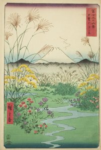 Otaku P Fine Członek P Lovinse (Brzuch spotkania), z serii „Mr. Tyrty x Vie ws Of Mount Fuji (Fuji Kasabi Rokukatsu)” autorstwa Utagawa Hiroshige