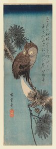 Sowa na gałęzi sosny, ok.1833 (kolorowy drzeworyt) autorstwa Utagawa Hiroshige