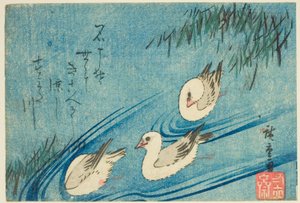 ostrygojady autorstwa Utagawa Hiroshige