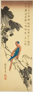 Papuga na winorośli autorstwa Utagawa Hiroshige