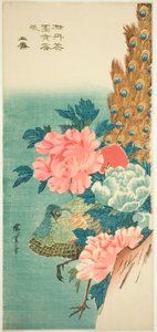 Paw i piwonie autorstwa Utagawa Hiroshige