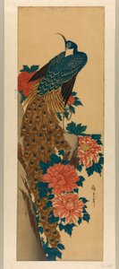 Paw i piwonie autorstwa Utagawa Hiroshige