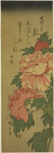 Piwonie autorstwa Utagawa Hiroshige