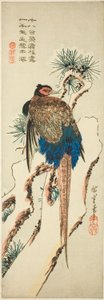 Bażant na ośnieżonej sośnie autorstwa Utagawa Hiroshige