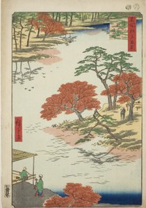 Dzielnice Akiba Shline, w czasie odbioru (obręby Akiby w czasie odbioru), z serii „Ridge dre d fa net widoki Edo (Sto słynnych zabytków Edo)” autorstwa Utagawa Hiroshige
