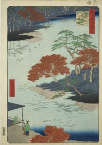 Dzielnice Akiba Shline, w czasie odbioru (obręby Akiby w czasie odbioru), z serii „Ridge dre d fa net widoki Edo (Sto słynnych zabytków Edo)” autorstwa Utagawa Hiroshige