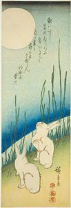 Króliki w pełni księżyca autorstwa Utagawa Hiroshige