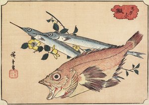 Rockfish i Halfbeak, początek XIX wieku