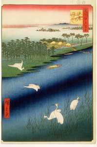 Prom Sakasai, tablica 67 z serii Sto słynnych widoków Edo, okres Edo, epoka Ansei, 1857 (drewnodruk) autorstwa Utagawa Hiroshige