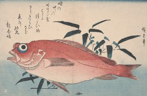Dorada i Trawa Bambusowa, 1840