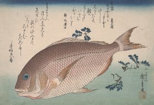 Dorada i pieprz Sansho, ok. 1830 r.