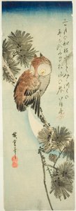 Mała sowa rogata, sosna i półksiężyc autorstwa Utagawa Hiroshige