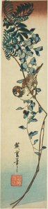 Wróbel i glicynia autorstwa Utagawa Hiroshige