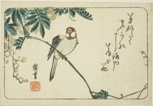 Wróbel i glicynia autorstwa Utagawa Hiroshige