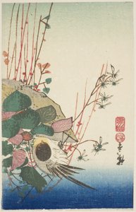 Wróbel na wiszącej donicy autorstwa Utagawa Hiroshige