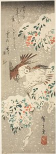 Wróble przemykające wokół ośnieżonej Nandiny, gdy pada więcej śniegu autorstwa Utagawa Hiroshige