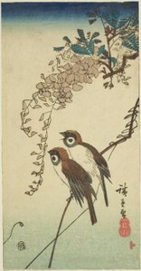 Wróble i glicynia autorstwa Utagawa Hiroshige