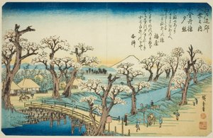 Gow na moście Koganei (punkt kontrolny Koganei-bashi), z serii Te autorstwa Utagawa Hiroshige