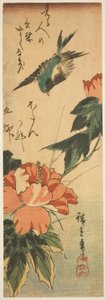 Jaskółka i hibiskus autorstwa Utagawa Hiroshige