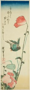 Jaskółka i maki autorstwa Utagawa Hiroshige
