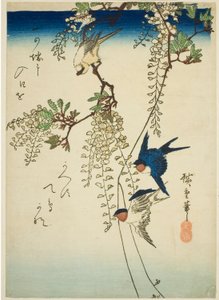 Jaskółka, żółty ptak i glicynia autorstwa Utagawa Hiroshige