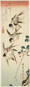 Jaskółki i Kwiaty Wiśni autorstwa Utagawa Hiroshige