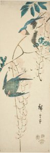 Jaskółki i glicynia autorstwa Utagawa Hiroshige