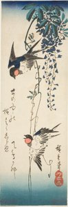 Jaskółki i glicynia autorstwa Utagawa Hiroshige