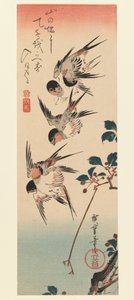 Tanzaku, Cztery jaskółki, 1832 (kolorowy drzeworyt) autorstwa Utagawa Hiroshige