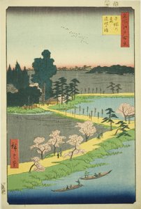 Splecione drzewa kamforowe w świątyni Azuma (Azuma no mori Renri no azusa), z serii „Sto słynnych widoków Edo (Meisho Edo hyakkei)” autorstwa Utagawa Hiroshige