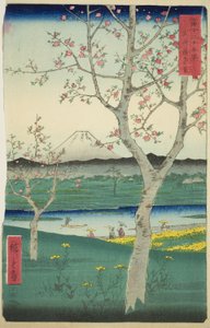 Przedmieścia Koshigaya w prowincji Musashi (Musashi Koshigaya zai), z serii „Trzydzieści sześć widoków na górę Fuji (Fuji sanjurokkei)” autorstwa Utagawa Hiroshige
