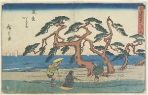Pole sosnowe w Hamamatsu, 1841-1842