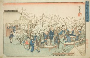 Ogród Śliwkowy w Komeido (Kameido ume yashiki no zu), z cyklu „Słynne miejsca we wschodniej stolicy (Toto meisho)” autorstwa Utagawa Hiroshige