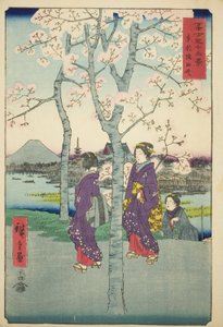 Nabrzeże Sumida we wschodniej stolicy (Toto Sumida-zutsumi), z serii „Trzydzieści sześć widoków góry Fuji (Fuji sanjurokkei)” autorstwa Utagawa Hiroshige