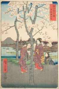 Nabrzeże Sumida we wschodniej stolicy (Toto Sumida zutsumi), z serii „Trzydzieści sześć widoków góry Fuji (Fuji sanjurokkei)” autorstwa Utagawa Hiroshige