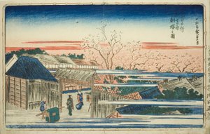 Widok Porannych Kwitnącej Wiśni w Nowej Yoshiwara (Shin Yoshiwara asazakura no zu), z serii „Słynne widoki wschodniej stolicy (Toto meisho)” autorstwa Utagawa Hiroshige