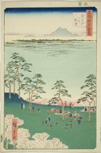 Widok i Te rth z Asuka Hikil (Asukayama Kita no Chobo), z serii Te ``Ridge dre d Fa nets Widoki Edo (Sto słynnych widoków Edo)