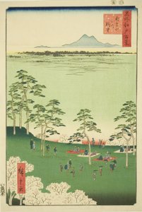 Widok i Te rth z Asuka Hikil (Asukayama Kita no Chobo), z serii Te „Ridge dre d fa nets Widoki Edo (Sto słynnych widoków Edo)” autorstwa Utagawa Hiroshige