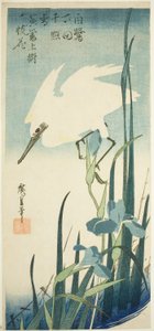 Czapla biała i irys autorstwa Utagawa Hiroshige